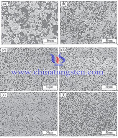 鎢銅棒金相圖